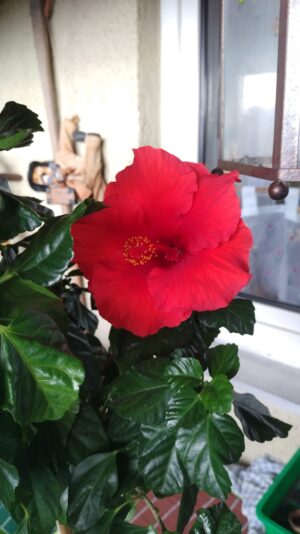 IMG_20220910_103229