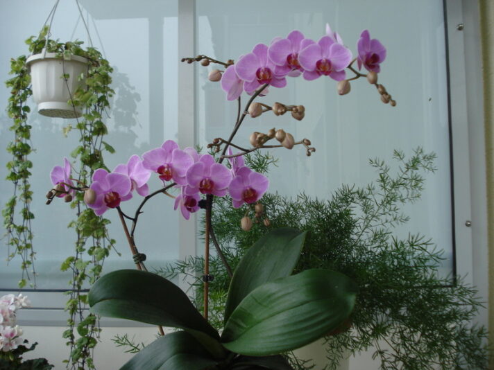 DSC02901