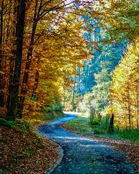 images (78)
