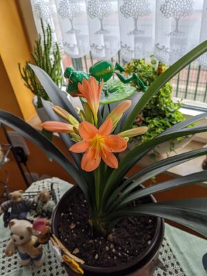 PXL_20220609_073805685.MP