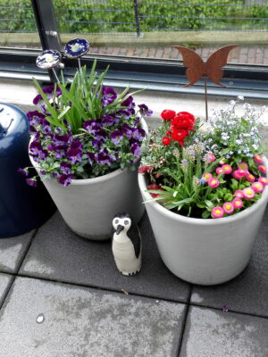 IMG_20180501_164333_001_COVER