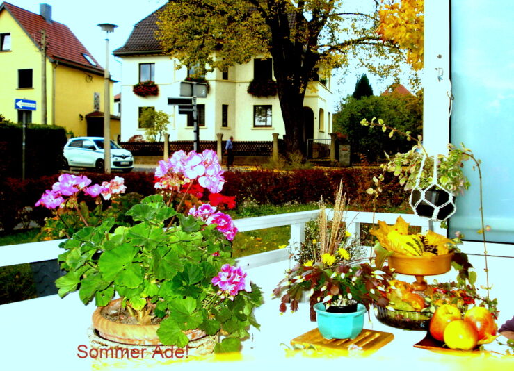 Sommer Ade!