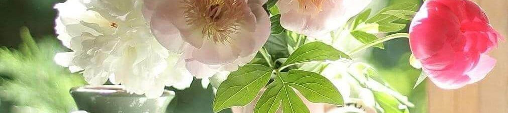 Berliner Kaffeeklatsch