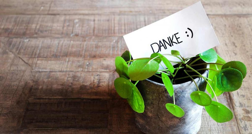 Danke - Textvorlagen