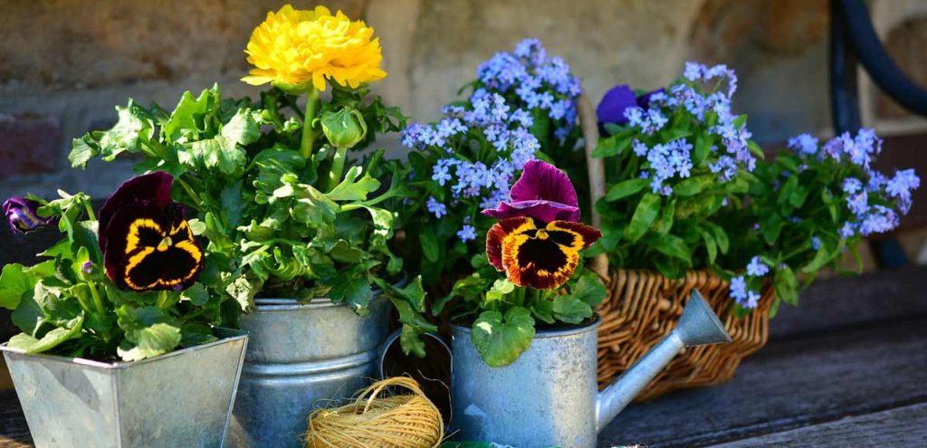 Gartenarbeit im Alter