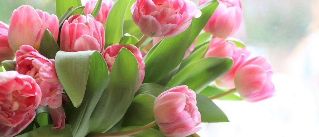 Glückwünsche zum Namenstag