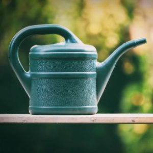 Gruppenlogo von Gartenfreunde