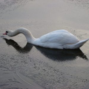Gruppenlogo von Anrede