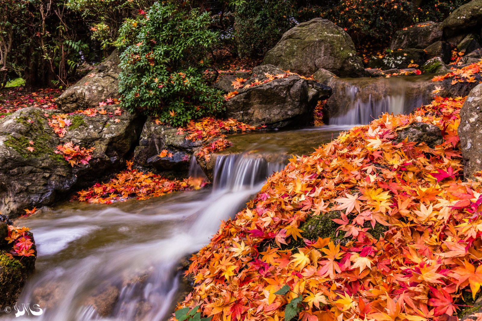 herbst-004490a1-f9d6-49f8-b3a4-6247189b2d06.jpg Herbst 4