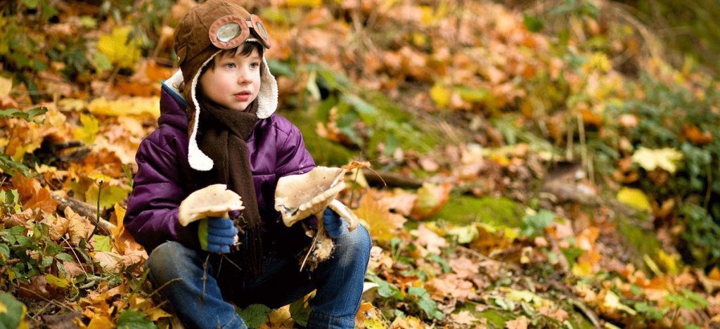Pilze sammeln im Wald