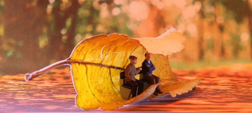 Eine Senioren-WG gründen