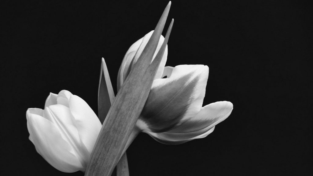 Trauerkarte schreiben